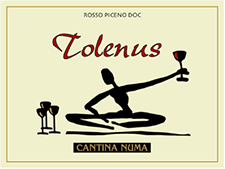 Cantina Numa Tolenus Rosso Piceno