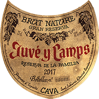 Juvé and Camps Cava