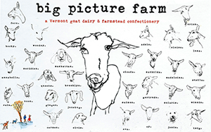 Big Picture Farm Goat Caramels cheese